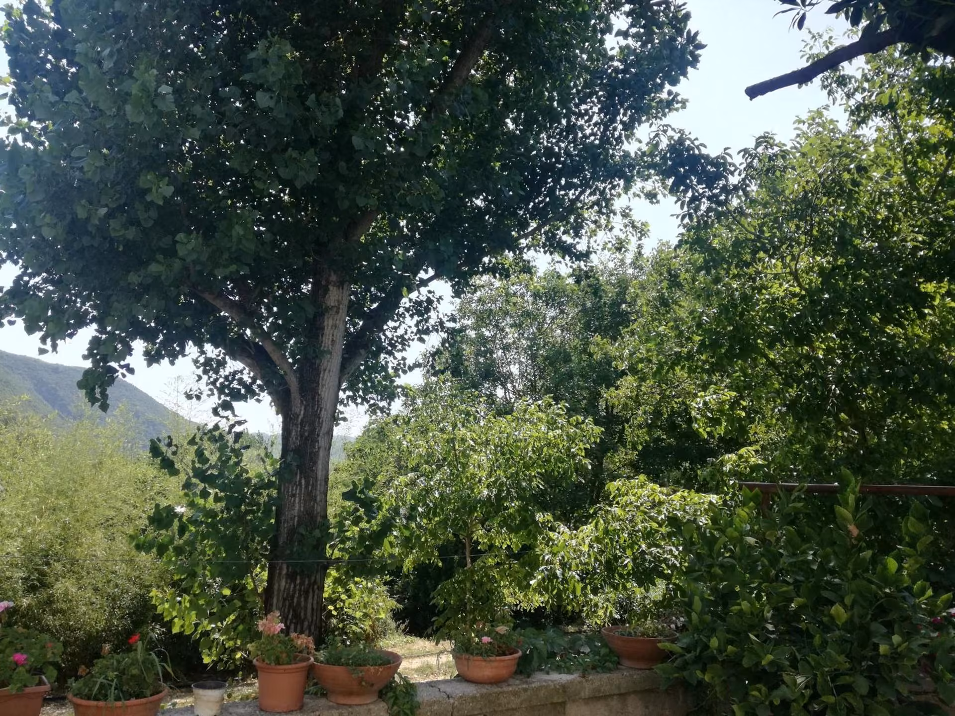 Paesaggio naturale intorno all'agriturismo nel reatino